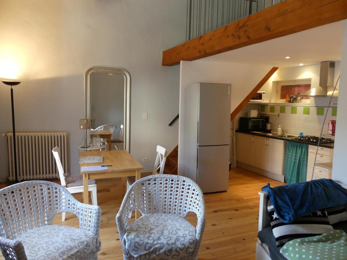 Classic France Double For Larger Groups Or Extended Families - Ac, Elevtor, 2 Appts Joined By A Common Indoor Patio Διαμέρισμα Limoux Εξωτερικό φωτογραφία